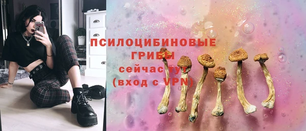 сатива Саяногорск