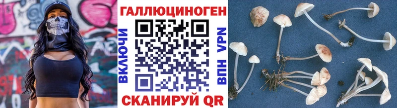 даркнет сайт  Белоусово  Галлюциногенные грибы прущие грибы 